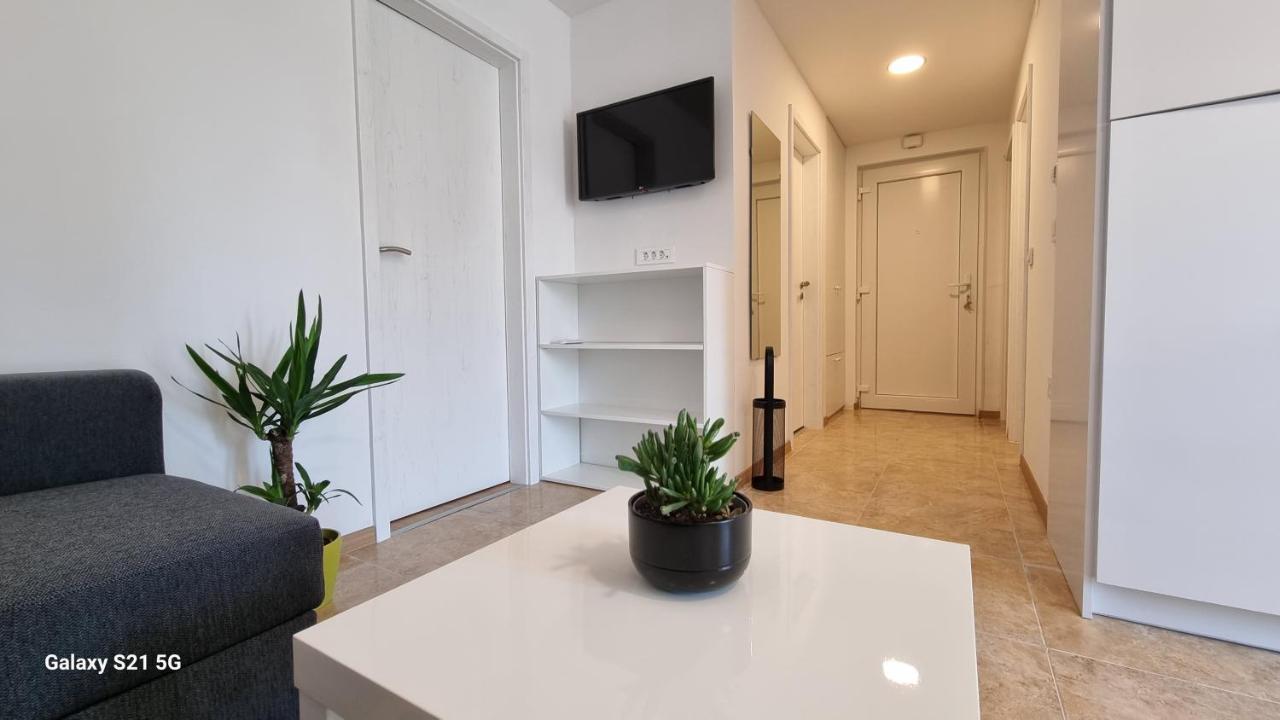 Apartment Rivarela Blu - Newly Renovated And Top Location Near Sea Novigrad  Bagian luar foto