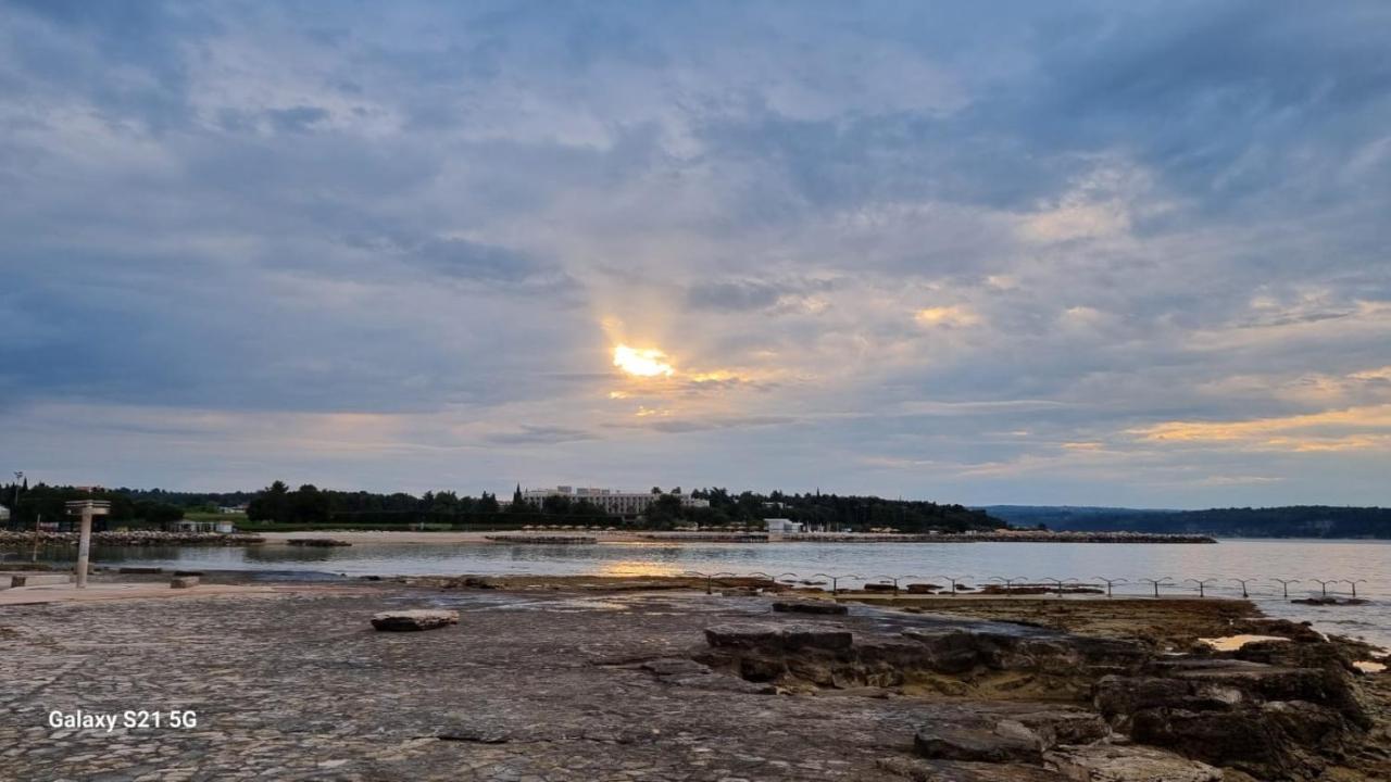 Apartment Rivarela Blu - Newly Renovated And Top Location Near Sea Novigrad  Bagian luar foto